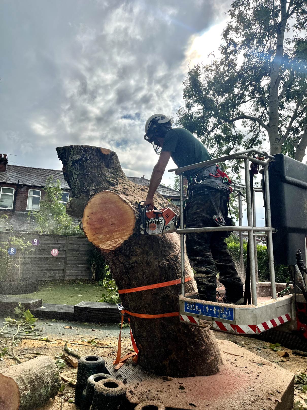 Professional tree surgeon bury using a chainsaw to cut emergency tree removal.